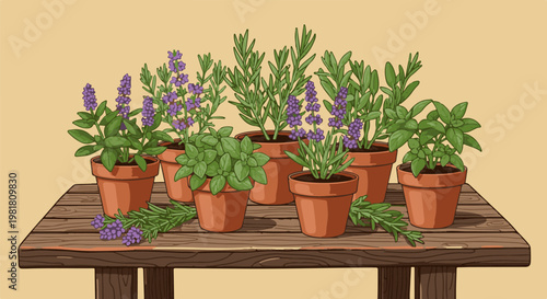 Potted herbs, including lavender and rosemary, displayed on a wooden table