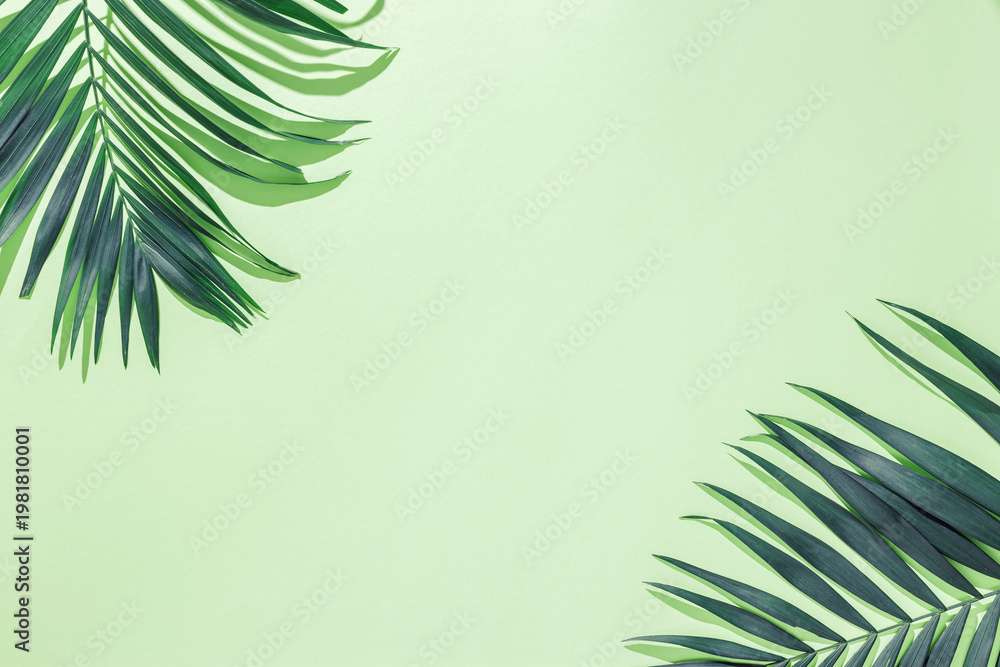 Fototapeta premium Minimalist composition of palm leaves creating soft, intricate shadows on a light green background with copy space. Nature-inspired photo, tranquil aesthetic projects, and eco-friendly design themes.