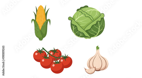 Fresh vegetables on white background.