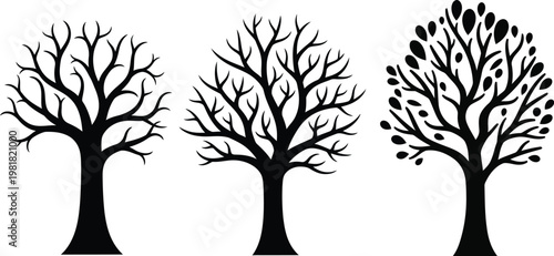 Three trees illustrating seasonal changes from winter to autumn foliage Vector