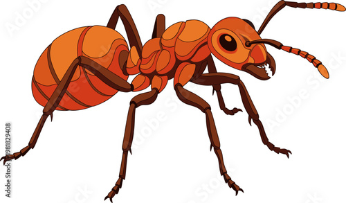 Detailed red ant insect illustration showing segmented body and legs
