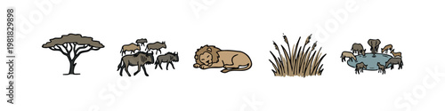 African savanna wildlife and landscape elements.