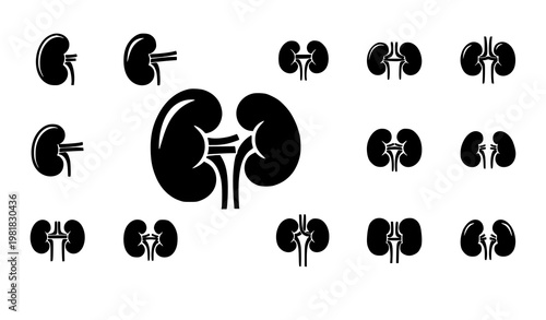 Minimal kidney icon set medical organ silhouette vector isolated on white background