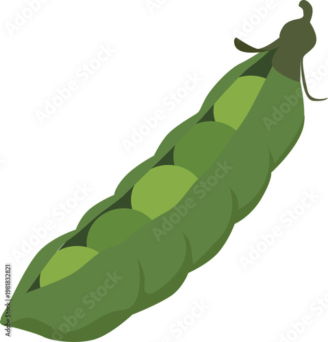 peas bean vegetable flat style