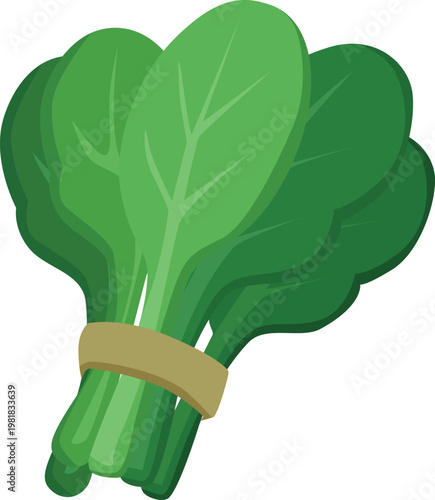 spinach salad vegetable flat style