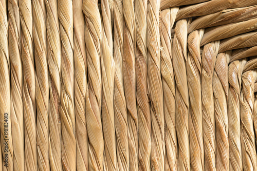 TRENZADO Y ABSTRACCIÓN CON FIBRAS DE TYPHA