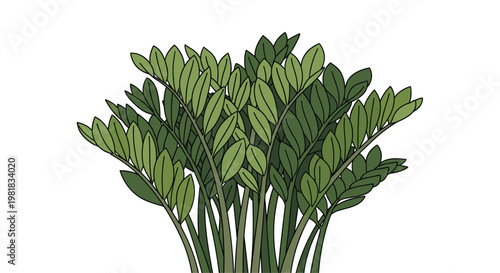 Lush indoor ZZ plant with thick green stems and glossy leaves representing modern home decor, botany, and greenery.
