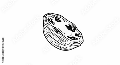 Stylized black and white illustration of a single, plump raisin