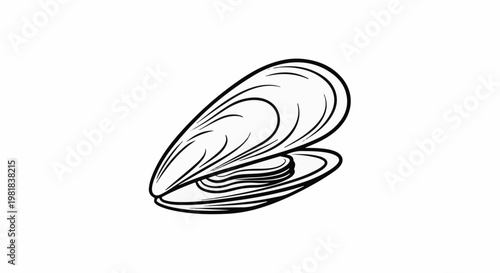 Stylized black and white illustration of an open mussel shell