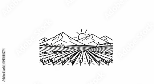 Stylized black and white illustration of rolling vineyards stretching towards majestic mountains under a radiant sun