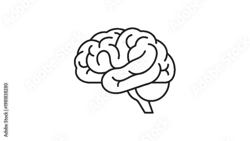 human brain vector illustration