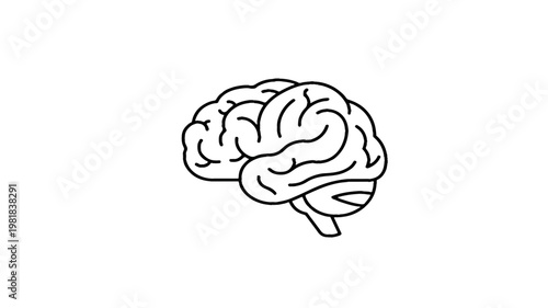 human brain vector illustration