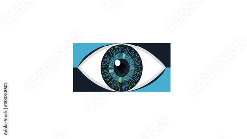 Eye Icon Vector Illustration Isolated on White Background