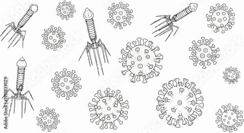 Sketch of bacteriophages and coronavirus particles on a white background