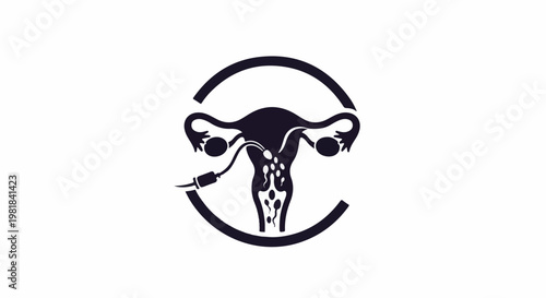 Silhouette of female reproductive system and fertilization process