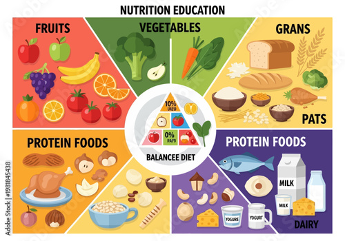 Balanced Diet Pyramid Infographic Healthy Eating Food Groups Explained