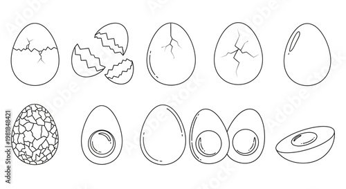 Collection of stylized line art illustrations of eggs, including whole, cracked, and halved hard-boiled eggs, showcasing different textures and forms