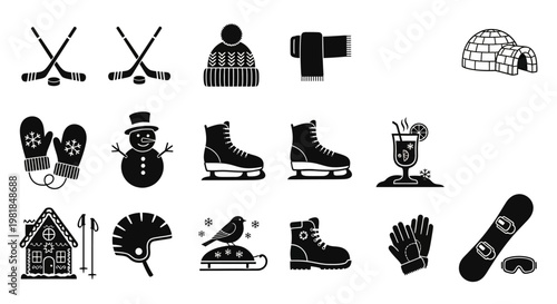 Winter sports icons, ice skating, hockey, snow, 20 black and white graphics, vector illustrations