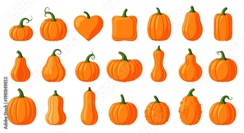 Pumpkin icons, orange squash symbols, autumn harvest illustrations, 20 vegetable graphics