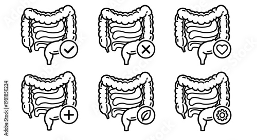 Intestine anatomy icons, gut health symbols, digestive system illustrations, medical vector graphics