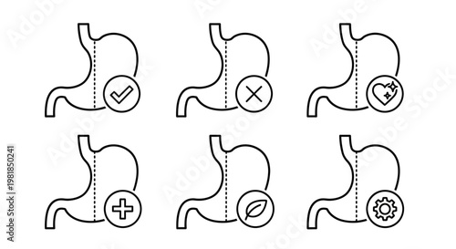 Stomach anatomy, digestive system icons, health symbols, medical illustrations, vector set