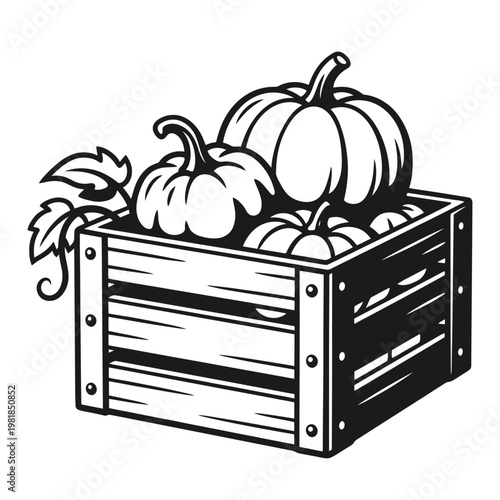 A wooden crate filled with pumpkins and gourds Vector