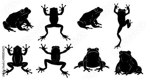Black frog silhouettes, amphibian icons, animal graphics, wildlife illustrations, set of 8