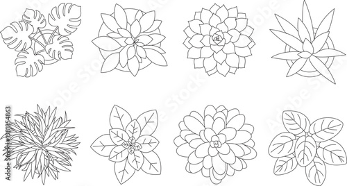 Set of different house plants top view. architectural top view tree and plant CAD block cet. 