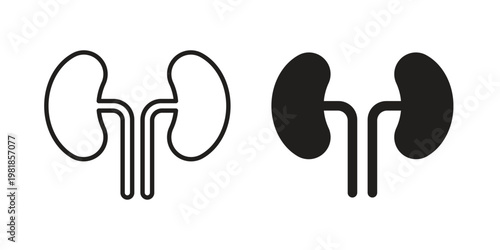 Kidney icon and symbol. Vector icon editable set
