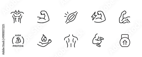 Muscle Icon Set, Fitness Bodybuilding Gym Workout Strength Training Strong Arm Biceps Sport Health icon, button, vector, sign, symbol, logo, illustration, editable stroke and flat design style isolate