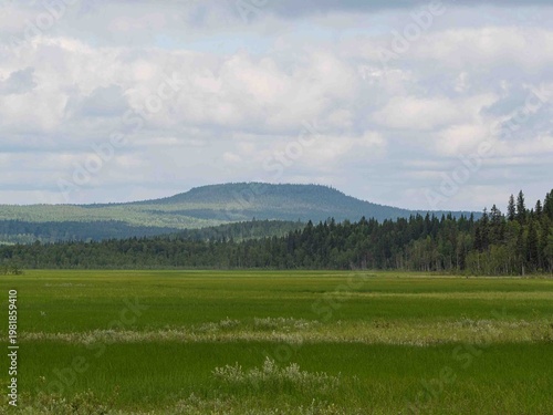 Landscape in north of Sweden