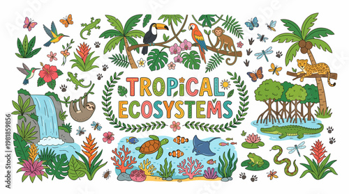 Tropical Ecosystems: Wildlife, Plants, Waterfall, Coral Reef