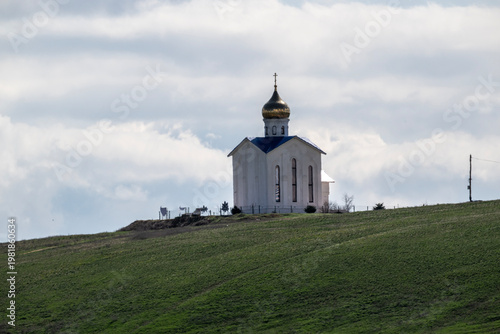 A hare in its natural habitat in a spring forest in Kalmykia.