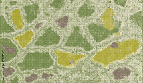 Abstract green halftone texture resembling aerial top view of agricultural fields. Risograph green organic texture. Organic patchwork farmland pattern with dotted grain and vintage print effect.