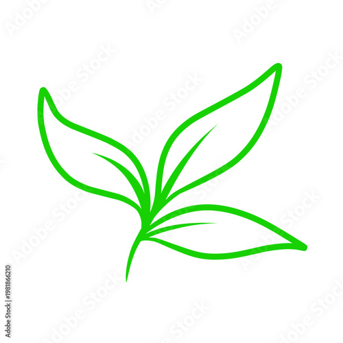 green leaf icon