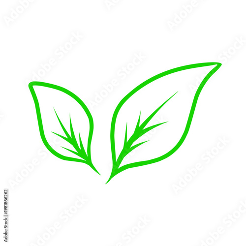 green leaf icon vector