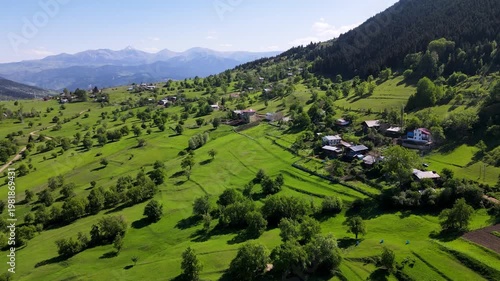 Footage of mountain villages and plateaus located among trees in pine forests.