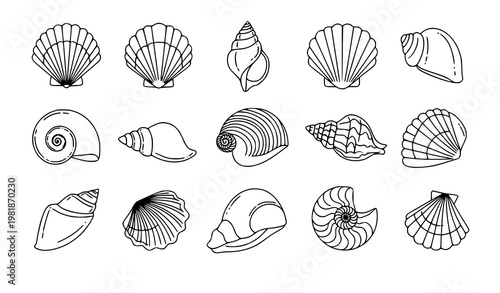 Seashell line icon set beach shell vector collection