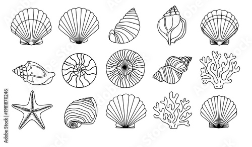 Decorative seashell beach icon set marine shell vector