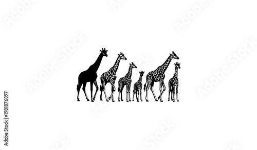  in the desertRealistic giraffe family vector set with male female and calf African wildlife animals isolated on white background