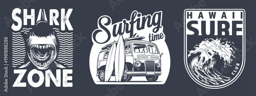 Hawaii summer surfing