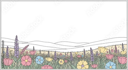 Colorful flowers in a field.