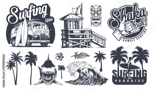 Surfing fun at the beach