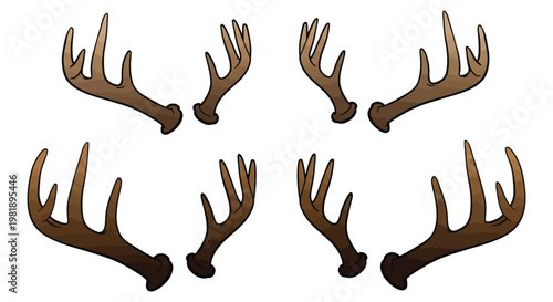 Detailed brown deer antler sets isolated as a flat vector graphic design 