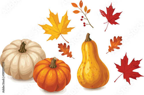 Autumn harvest pumpkin set with maple leaves and decorative gourds