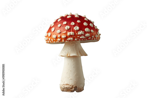 Amanita muscaria mushroom with vibrant red cap and white spots, known as fly agaric, standing on transparent background