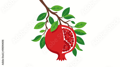 Ripe pomegranate fruit hanging on branch.