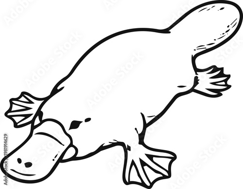 Black and White Platypus Illustration
