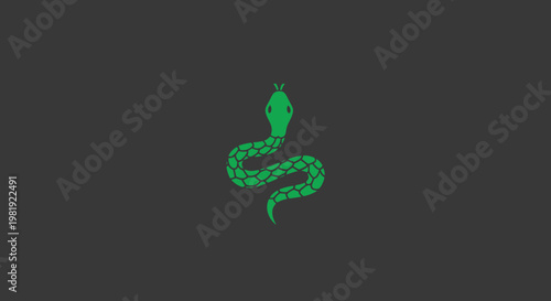 Green snake with scales on gray background, coiled and alert