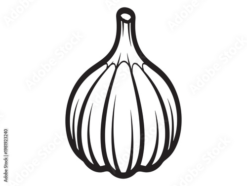 Hand drawn black and white illustration of a single garlic bulb with a stem